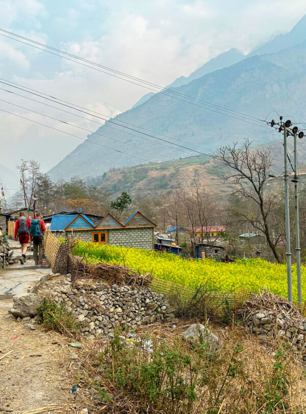 Manaslu Trekking Trail via Villages and Fields 2024, Gurkha Expeditions