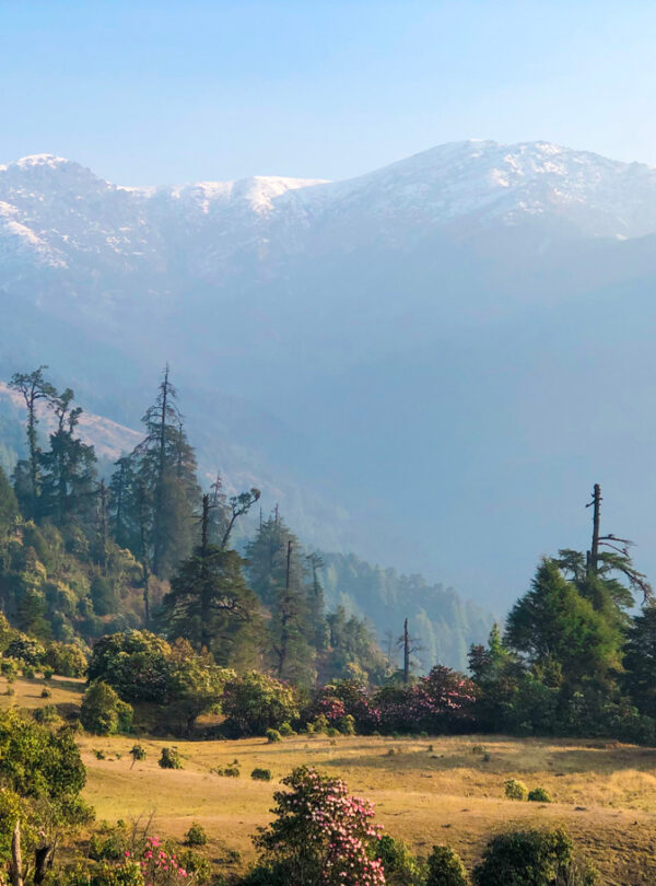 Pikey Peak Trek 2024, Everest Region. Gurkha Expeditions